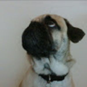 Meet your Posher, Skye